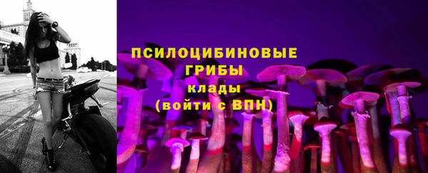 spice Беломорск