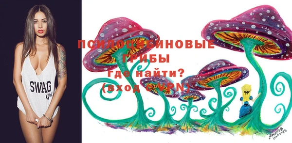 прущая мука Белоозёрский